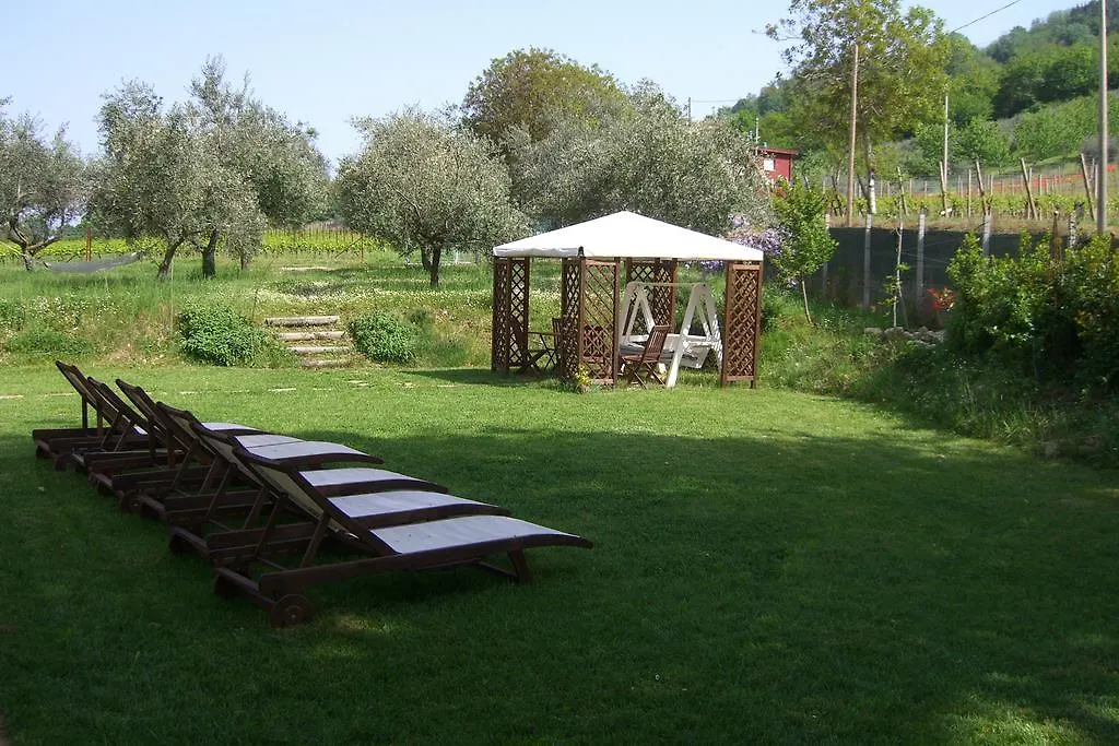 Tenuta Carbognano Gemmano Italia