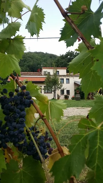 Alloggio per agriturismo Tenuta Carbognano Gemmano