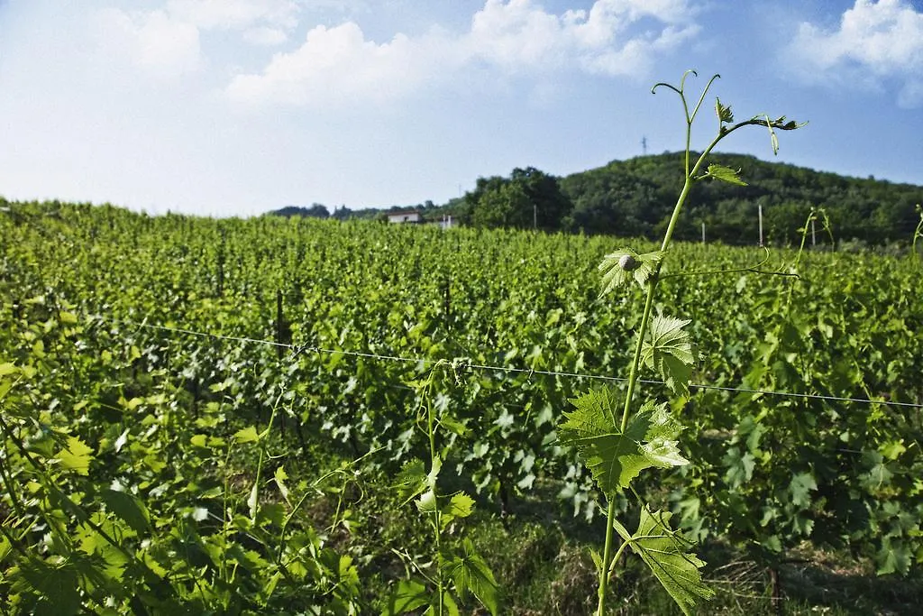 Alloggio per agriturismo Tenuta Carbognano Gemmano